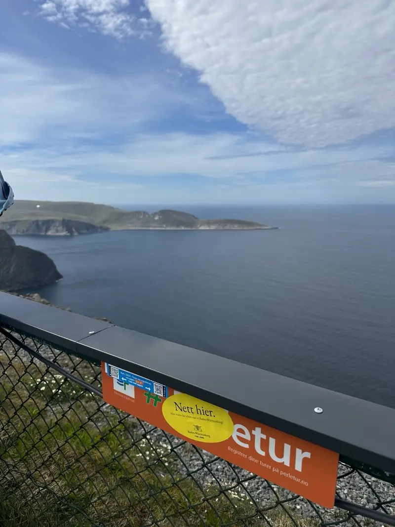 Enganxina en una tanca al Cap Nord